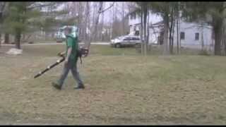 Dethatching Lawn Removing thatch after using dethatcher [upl. by Jarrell]