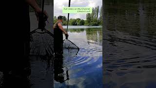 I netted a fish from the lake fishing carpfishing carpangling lake [upl. by Sidoma]