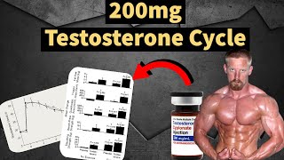 200mg Testosterone Cycle  Best Steroid Cycle  Muscle Gains  Side Effects  Doctors Analysis [upl. by Eerased]