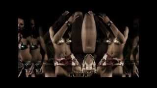 Fally Ipupa  Mabele Clip Officiel [upl. by Elleinnod520]