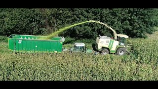 Maishäckseln LU Biggel mit Krone Big X1100 und 12Reihen Maisgebiss Claas Fendt Teil 8 2024 4K [upl. by Anaib]