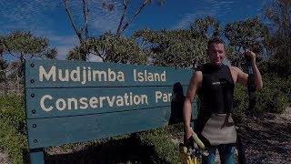 Snorkel With Turtles At Mudjimba Island  Sunshine Coast QLD [upl. by Ateekan]