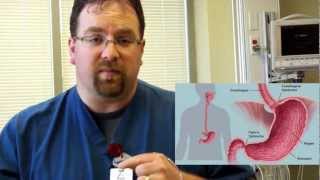 Esophageal Manometry Demonstration [upl. by Niple482]