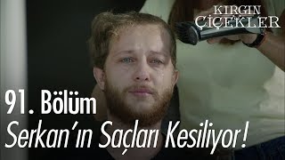 Serkanın saçları kesiliyor  Kırgın Çiçekler 91 Bölüm [upl. by Uke112]