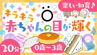 【赤ちゃんが泣きやむ】赤ちゃんの目が輝く🌲ö│泣き止む🌈笑う☀️喜ぶ♫│こどものうた│乳児・幼児向け知育番組│0歳1歳2歳3歳【アニメ】 [upl. by Abroms]