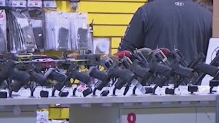 Sacramento leaders propose new gun control laws [upl. by Louise913]