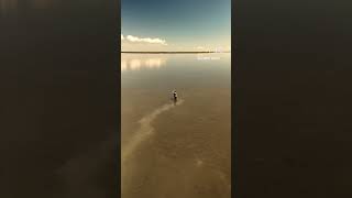 Bates fishing the standard saltwater inshore reel Rockport Texas Fishing Johnny Garza [upl. by Raffaj]