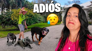 Me Despido de la Finquita Bonita 🥹 Sandra Cires Vlog [upl. by Averil89]