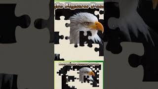 052 Bald Eagle Animal Jigsaw Puzzle [upl. by Deland]