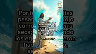 🌊 12 De Diciembre 🌊 PalabradeDios Biblia FraseDelDia 12Diciembre ConfiareEnDios Dios [upl. by Atillertse]