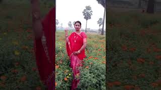 Marigold fields viralvideo ytshort [upl. by Casmey]