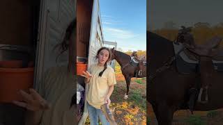 wish yt would let me post more than 1 min shorts😖 horse western equestrian rodeo country [upl. by Ohs]