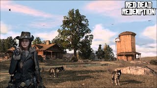 10LawStar  Red Dead II  Des Menaces sérieuses [upl. by Autum]