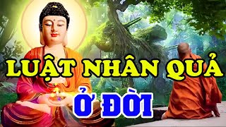 Phật Dạy LUẬT NHÂN QUẢ Ở Đời Chớ Xem Nhẹ Hiểu Nhân Quả Rồi Sẽ Biết Cách Sống Được Phước An Yên [upl. by Yerga]