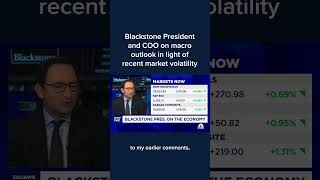 Blackstone President and COO on macro outlook in light of recent market volatility [upl. by Leemaj114]