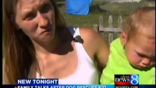 Mom Dog saved baby son from drowning [upl. by Clere46]