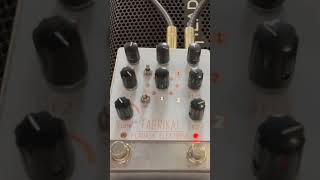 Pladask Elektrisk Fabrikat delay pedal with Agile Legacy 627 baritone guitar sad riff [upl. by Enoek290]