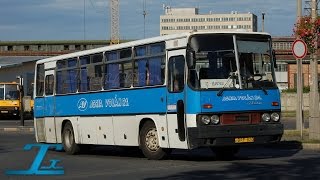 Ikarus 256  BRF820  Kisrábás  Agria Volán hangfelvétel  audio [upl. by Leunamme]