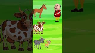 cartoon tuntunicartoon funny animatedcartoon comedy 2024shorts [upl. by Shulem521]