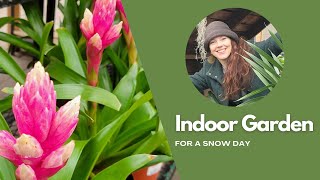 Indoor Garden for a Snow Day [upl. by Sage]