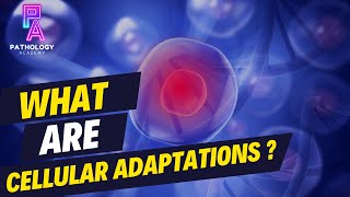 What Are Cellular Adaptations By Dr Aditi Kumar MD Pathology [upl. by Eelirrem919]