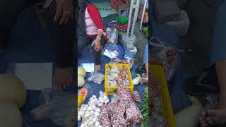 Buying melons at the traditional market melon pasar tradisional market shopping fruit seller [upl. by Yehus92]