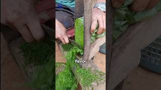 The way to dry Tobacco leaves🌱shorts viralvideo [upl. by Aicenev]