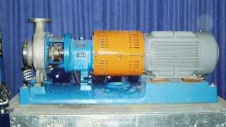 Goulds  3196 2x3x8  Centrifugal Pump [upl. by Jessa]