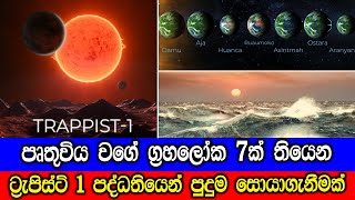 ට්‍රැපිස්ට් 1 පද්ධතියෙන් පුදුම හිතෙන සොයාගැනීමක්  TRAPPIST1 Exoplanets May Have Liquid Water [upl. by Sweatt]