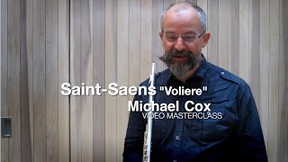 Carnival of the Animals quotVolièrequot flute solo  Michael Cox [upl. by Narda]