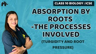 Absorption by Roots  The Processes Involved  Chapter 4 Class 10 ICSE Biology Selina  Turgidity [upl. by Zelle]