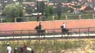 Kütahya Rahvan Atlı Spor KulübüSarıkızPacing horse race [upl. by Lesirg]