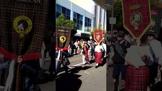 Tartan Day Townsville 2024 [upl. by Akilegna]