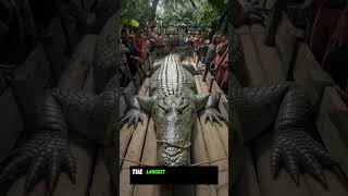 Giant crocodile 🐊 LOLONG in Bunawanphilippines short [upl. by Gerard625]