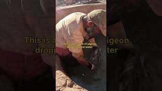 Leather Treatment Secrets in Marrakechs Tannery marrakech morocco tannery africa crafting [upl. by Ahsac]