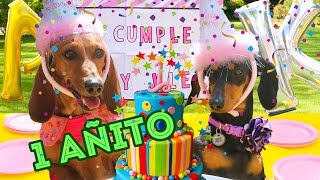 MI FIESTA DE 1 AÑITO  LOS POLINESIOS VLOGS [upl. by Elrak70]