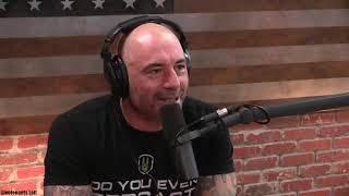 Joe Rogan Experience Podcast on Brock Lesnar JRE clips [upl. by Gile]