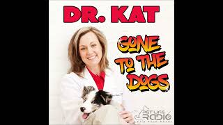 Dr Kat Gone to the Dogs  Episode 18 What Fleas Do Not Want You To Know About Them [upl. by Notirb547]