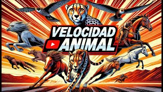 ¡Descubrí los animales MÁS RÁPIDOS del planeta [upl. by Niveek686]