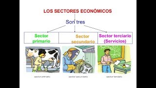 Sectores económicos [upl. by Cyd]