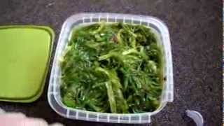 Review Azuma Gourmet Wakame Seaweed Salad kelp fucoxanthin omega 3 calcium iodine thiamine niacin [upl. by Neill]