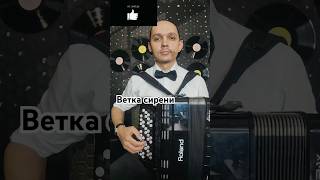 баян певец песниподбаян accordion веткасирени [upl. by Yclek]