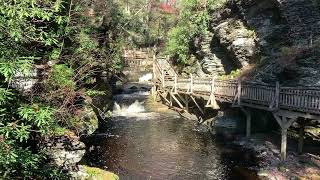 Waterfall at Bushkill Falls [upl. by Vic]