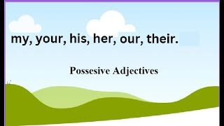 possessive adjectives for Class 1 kids [upl. by Retse]