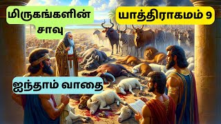 Exodus 9 17🔥 Tamil Bible Story  Tamil Audio Bible with Pictures 📖 [upl. by Ecinue]