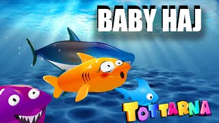 Bebis haj  Baby shark på svenska tecknade barnlåtar och sånger Bäbis HAJ baby haj [upl. by Jaehne]