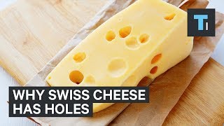 Why Swiss Cheese Has Mysterious Giant Holes [upl. by Littell]