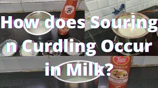 What is Souring n Curdling of Milk [upl. by Gans]