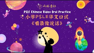 PSLE 小学看录像说话 最新版本！ [upl. by Ranip]