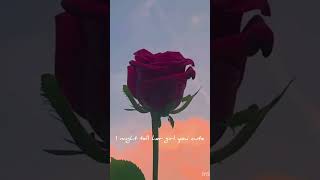 Roses song lyrics [upl. by Solitta]